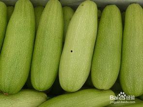 吃白瓜 想吐